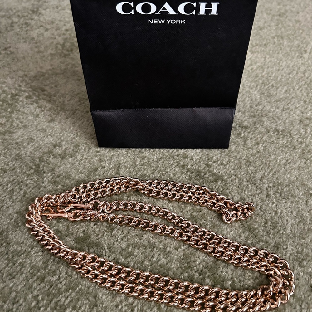 Coach Dinky Chain Bag Strap